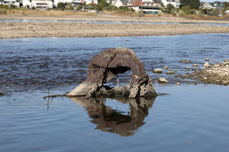 Historisches Niedrigwasser im Rhein bei Bornheim