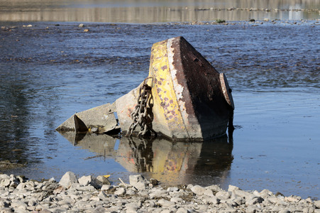 Historisches Niedrigwasser im Rhein bei Bornheim