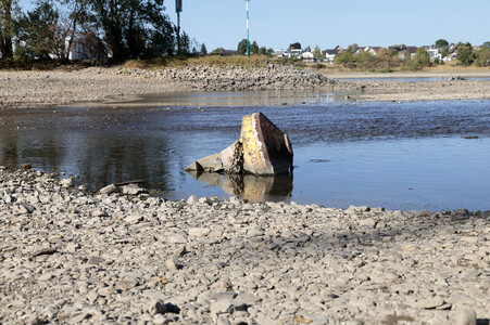 Historisches Niedrigwasser im Rhein bei Bornheim