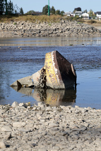 Historisches Niedrigwasser im Rhein bei Bornheim
