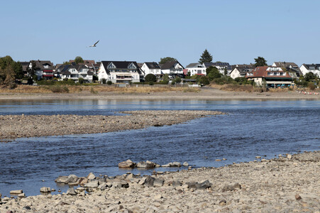 Historisches Niedrigwasser im Rhein bei Bornheim