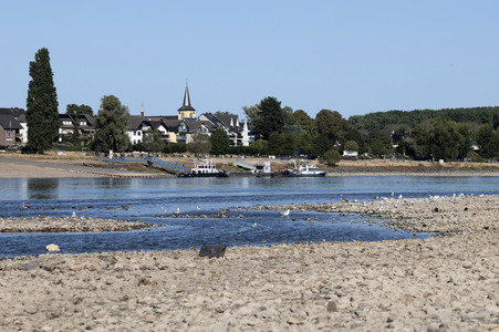 Historisches Niedrigwasser im Rhein bei Bornheim