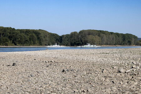 Historisches Niedrigwasser im Rhein bei Bornheim