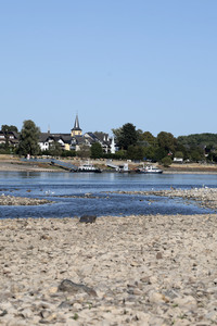 Historisches Niedrigwasser im Rhein bei Bornheim