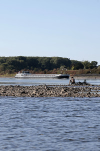 Historisches Niedrigwasser im Rhein bei Bornheim