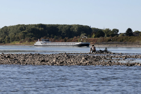 Historisches Niedrigwasser im Rhein bei Bornheim