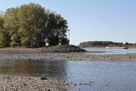 Historisches Niedrigwasser im Rhein bei Bornheim