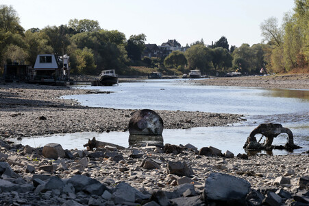 Historisches Niedrigwasser im Rhein bei Bornheim