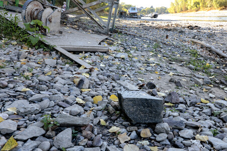 Historisches Niedrigwasser im Rhein bei Bornheim