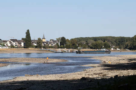 Historisches Niedrigwasser im Rhein bei Bornheim