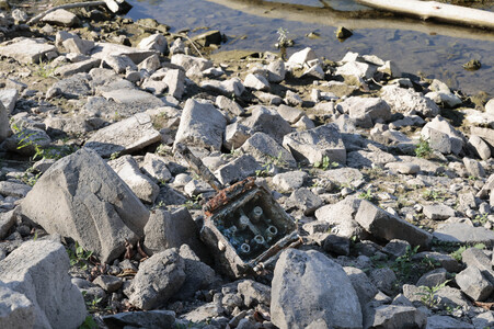 Historisches Niedrigwasser im Rhein bei Bornheim