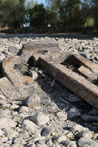 Historisches Niedrigwasser im Rhein bei Bornheim