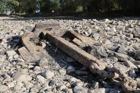 Historisches Niedrigwasser im Rhein bei Bornheim