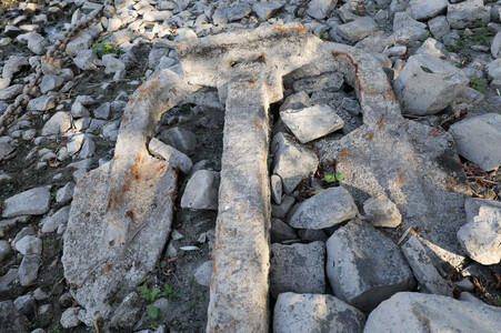 Historisches Niedrigwasser im Rhein bei Bornheim