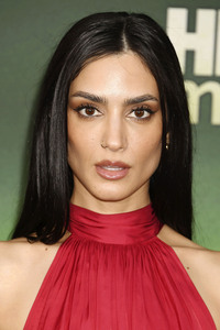 Serienpremiere 'Lanterns' in Los Angeles