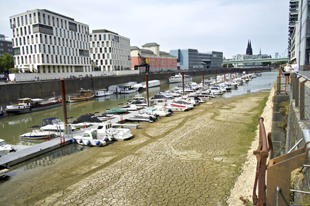Niedrigwasser im Rhein in Köln