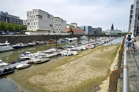 Niedrigwasser im Rhein in Köln