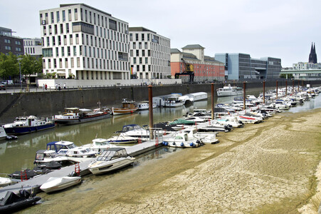 Niedrigwasser im Rhein in Köln