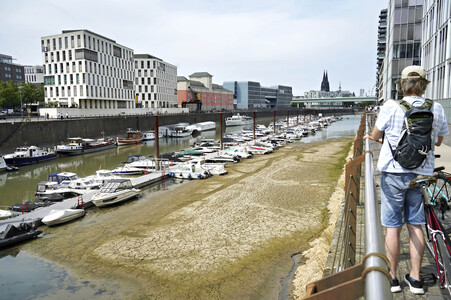 Niedrigwasser im Rhein in Köln