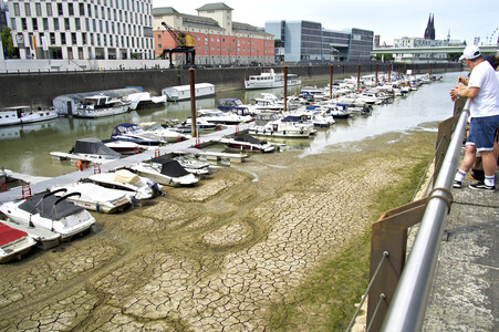 Niedrigwasser im Rhein in Köln