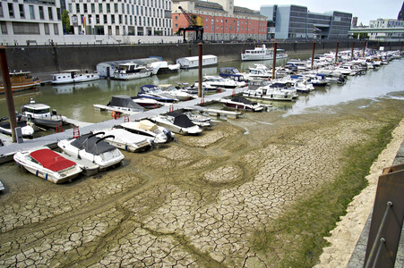 Niedrigwasser im Rhein in Köln