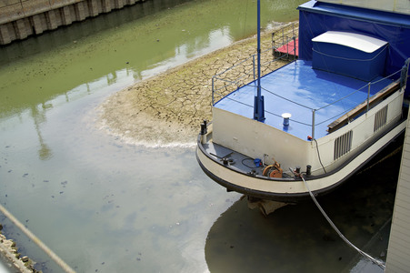 Niedrigwasser im Rhein in Köln