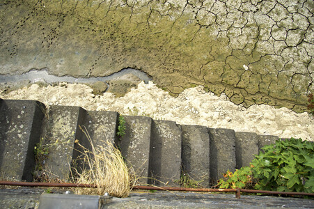 Niedrigwasser im Rhein in Köln