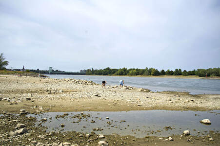 Niedrigwasser im Rhein in Köln