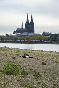 Niedrigwasser im Rhein in Köln