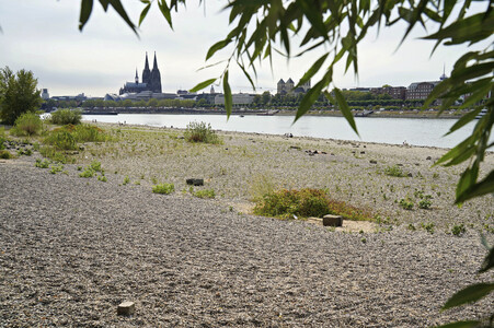 Niedrigwasser im Rhein in Köln