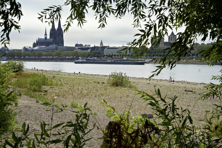 Niedrigwasser im Rhein in Köln