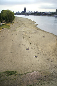 Niedrigwasser im Rhein in Köln