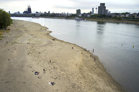 Niedrigwasser im Rhein in Köln
