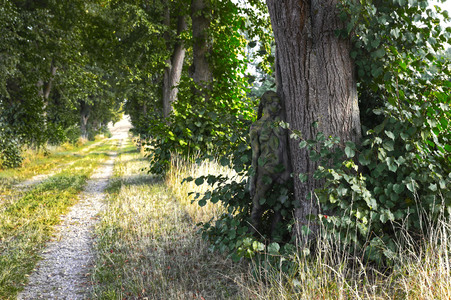 NATURE ART: Lindenallee / Linden Avenue Bodypainting
