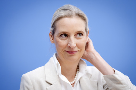 Bundespressekonferenz 'AfD - Auswirkungen der Landtagswahl in Sachsen-Anhalt auf die Bundespolitik' in Berlin