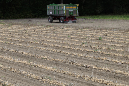 Kartoffelernte 2026 in Bahnsen