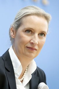 Bundespressekonferenz 'AfD - Auswirkungen der Landtagswahlen in Berlin und Mecklenburg-Vorpommern auf die Bundespolitik' in Berlin