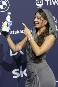 Blauer Panther - TV & Streaming Award 2026 in München