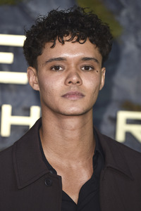 Fan-Screening 'Die Tribute von Panem: Sunrise on the Reaping' in London