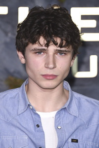 Fan-Screening 'Die Tribute von Panem: Sunrise on the Reaping' in London