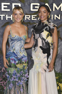 Fan-Screening 'Die Tribute von Panem: Sunrise on the Reaping' in London
