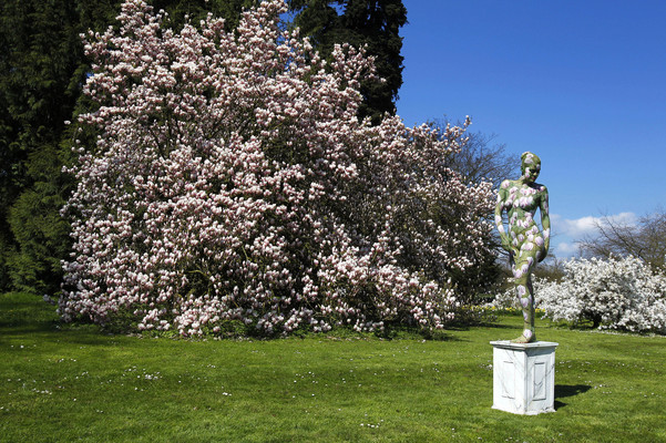 Magnolien / Magnolias Body Painting