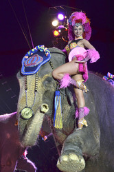 'Evolution' Weltpremiere im Circus Krone, München