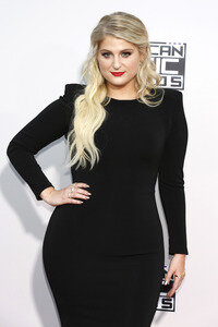 American Music Awards 2015