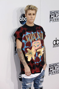 American Music Awards 2015
