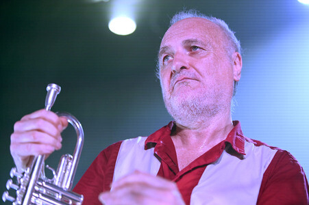 Konzert von Les Négresses Vertes in Hamburg
