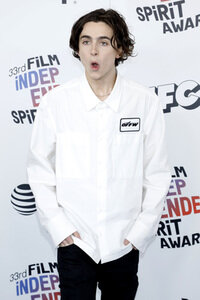 Film Independent Spirit Awards 2018 in Santa Monica