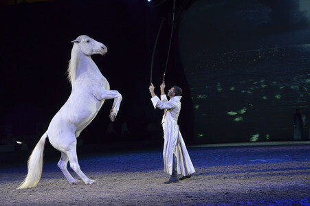 Pferdeshow 'Apassionata - Im Bann des Spiegels' in München