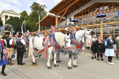 Regines Damenwiesn beim Oktoberfest 2026 in München