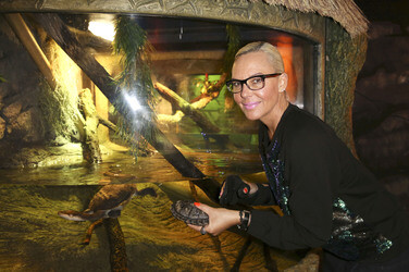 'Abenteuer Schildkröte' Opening im Sea Life, Berlin